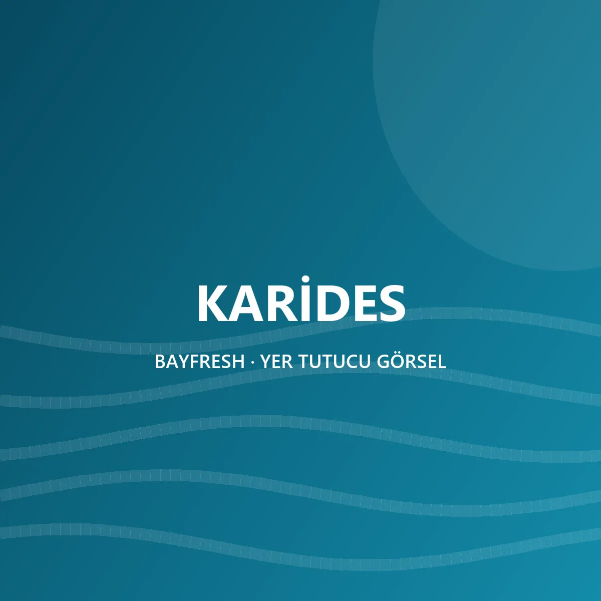 KARİDES