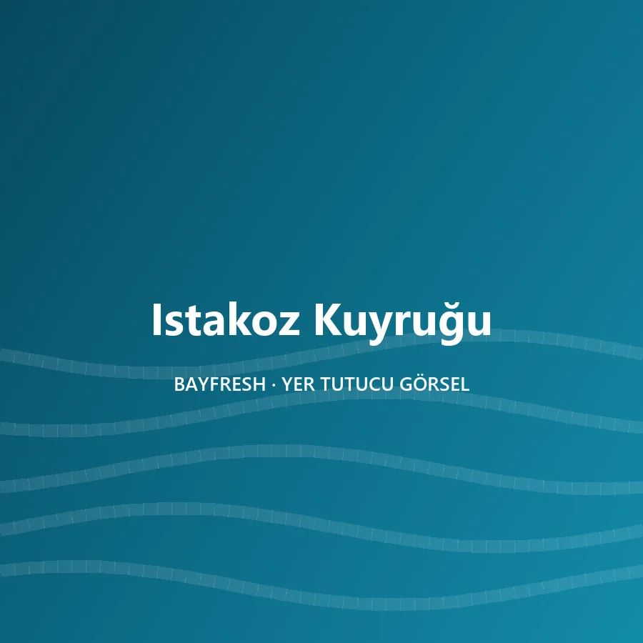 Istakoz Kuyruğu
