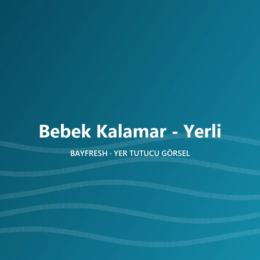 Bebek Kalamar - Yerli