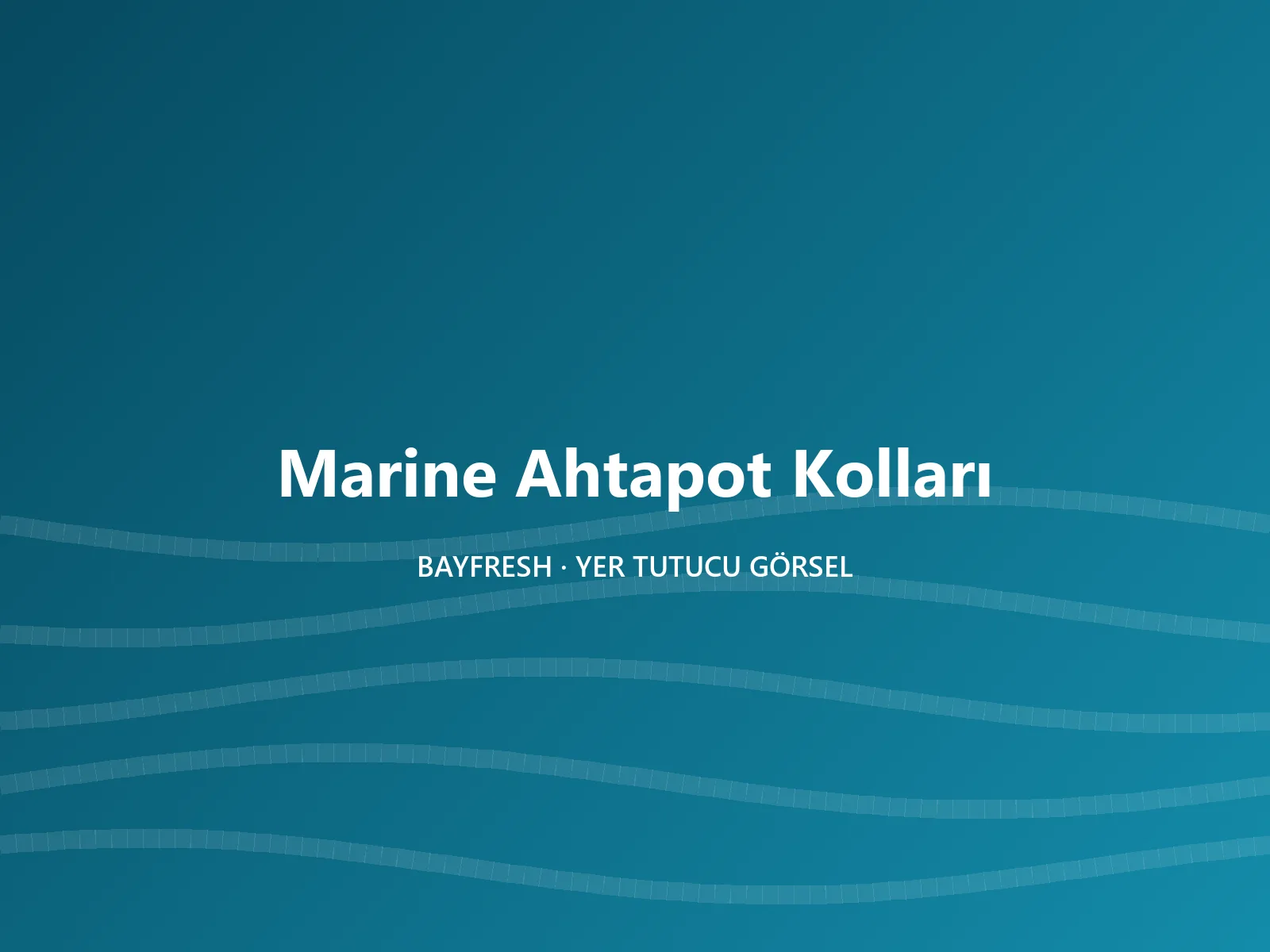 Marine Ahtapot Kolları