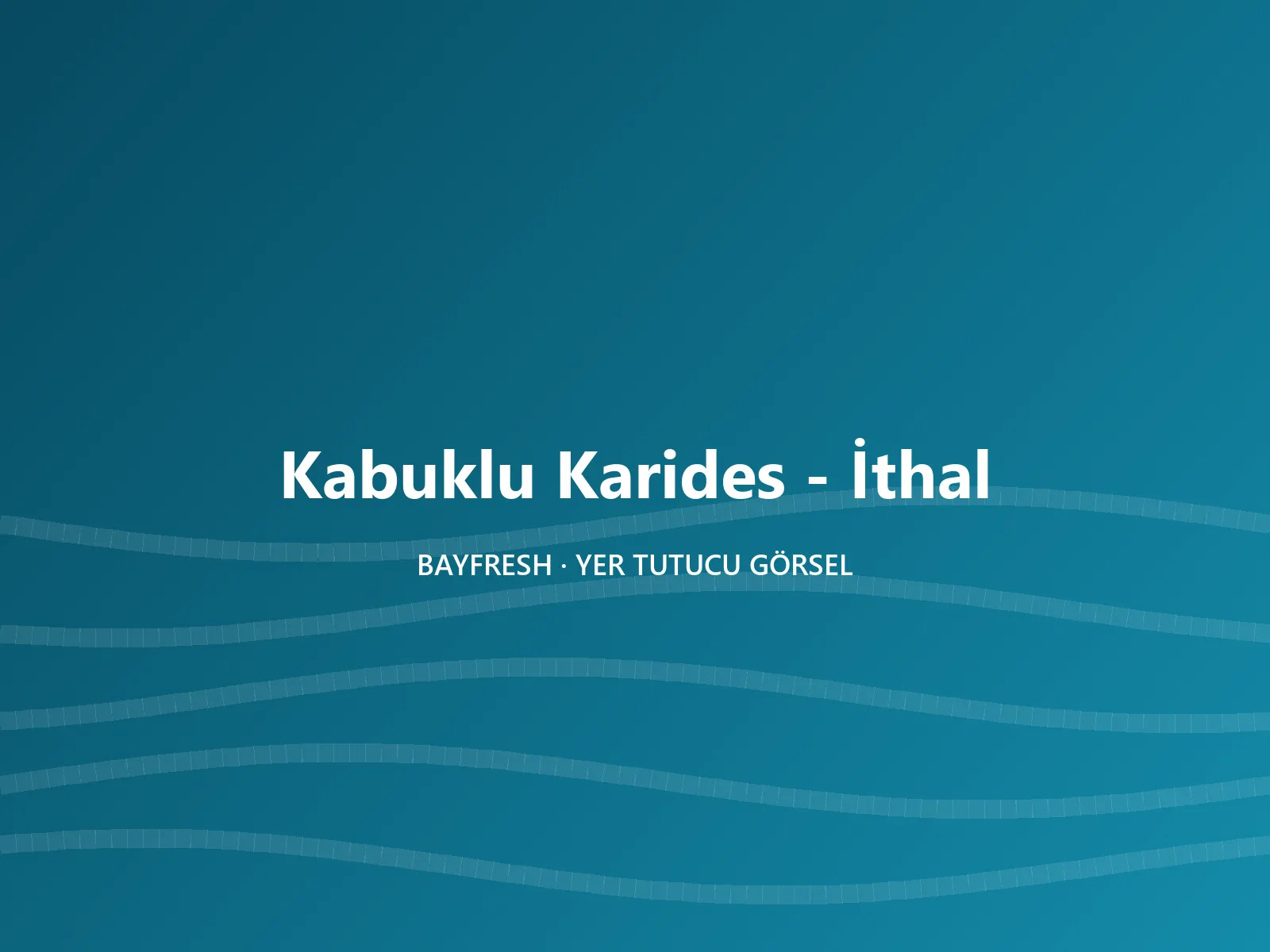 Kabuklu Karides - İthal