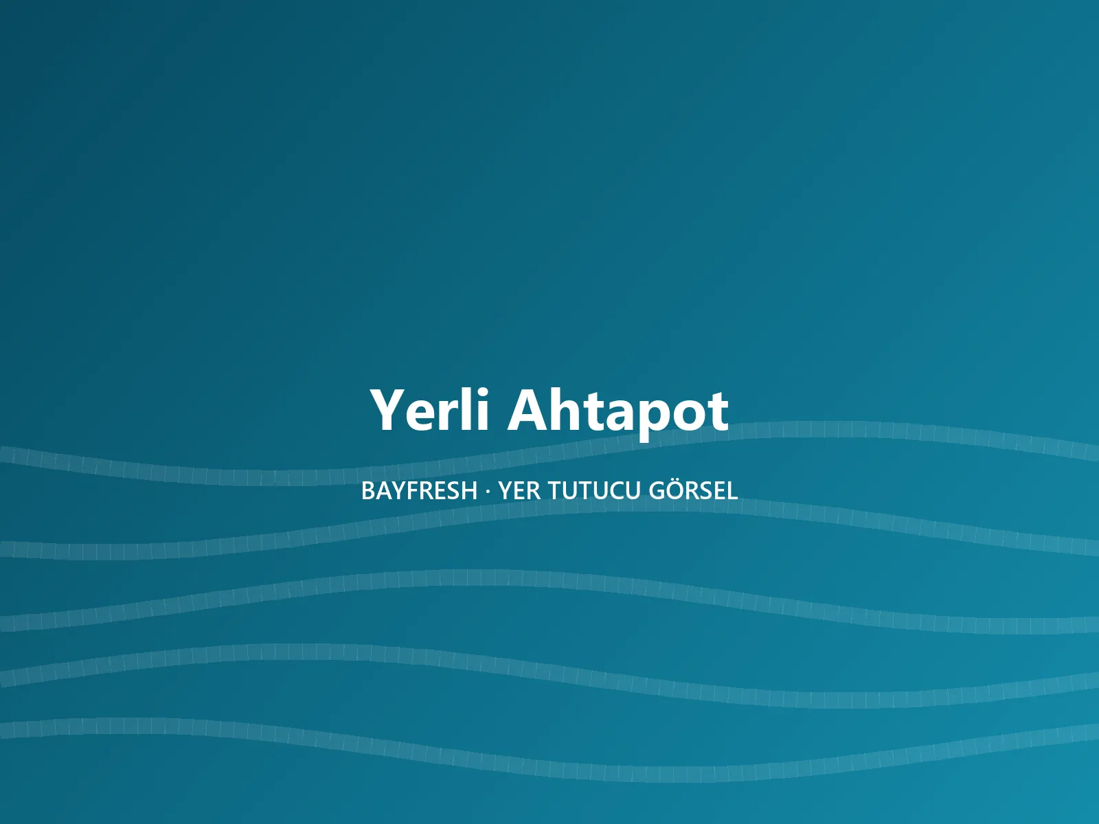 Yerli Ahtapot