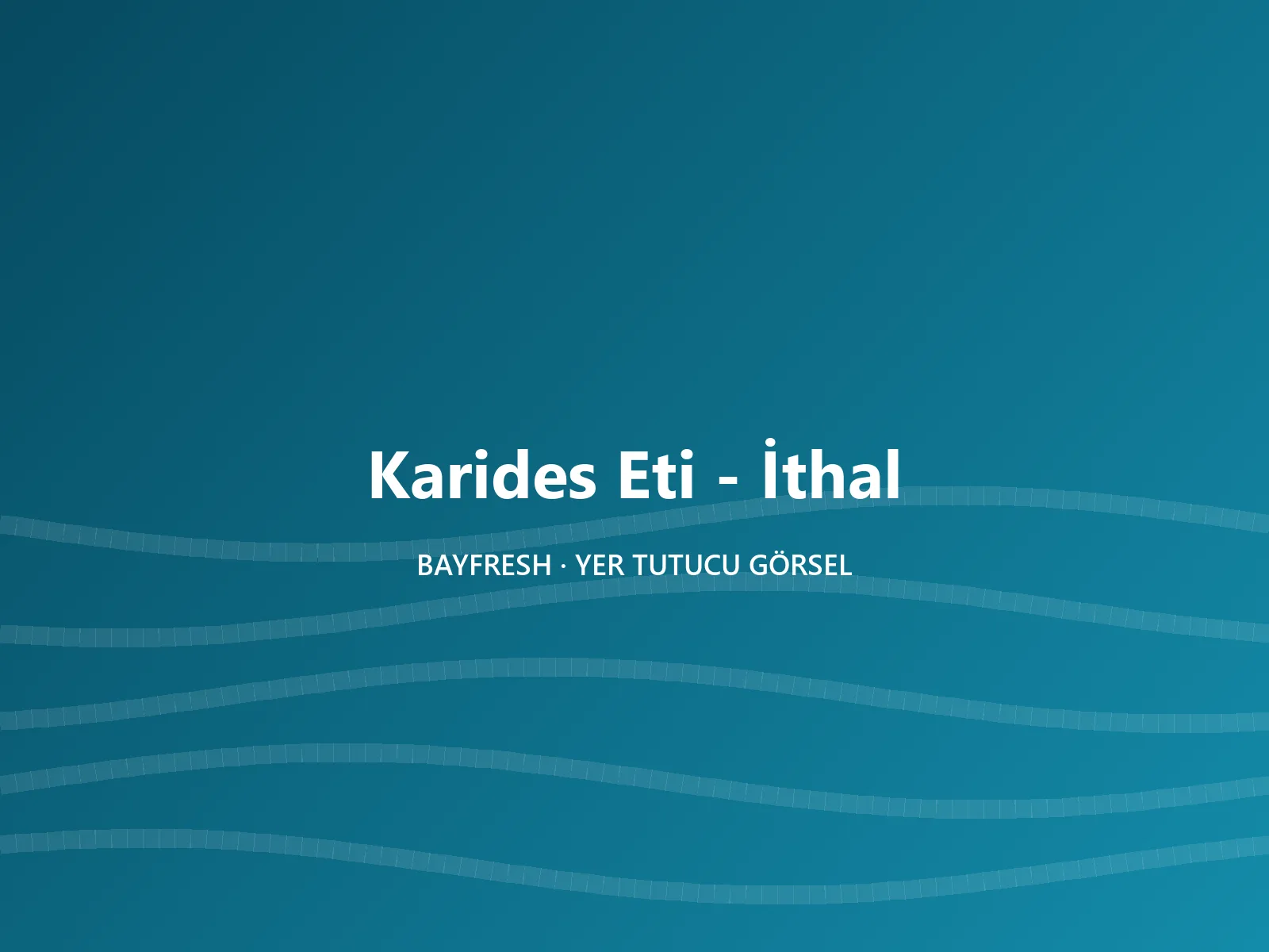 Karides Eti - İthal